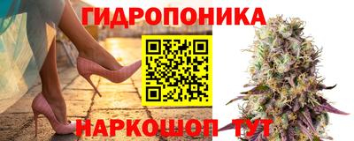 дмт Ипатово