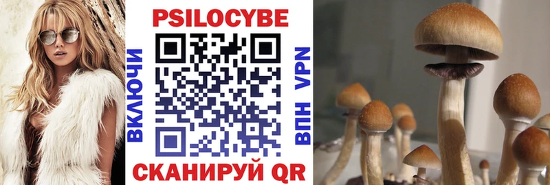 Галлюциногенные грибы прущие грибы  где купить наркоту  Топки 