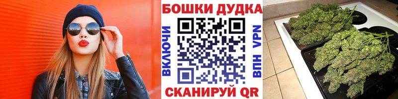 Конопля семена  цены   mega tor  Топки 